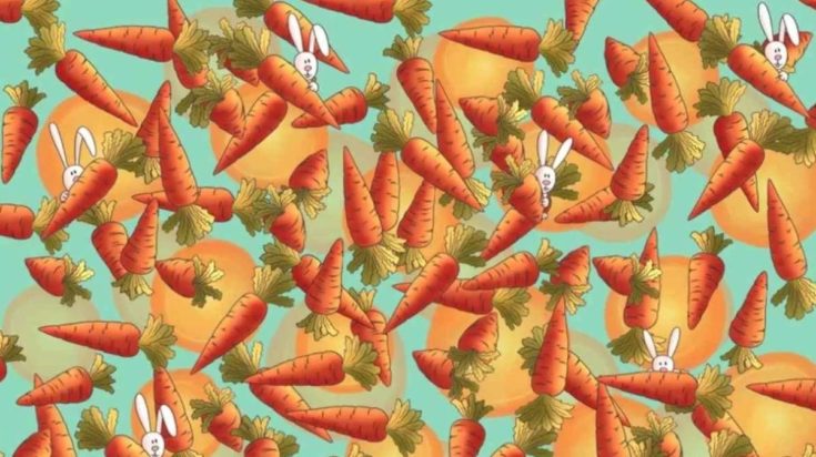 Οπτική ψευδαίσθηση