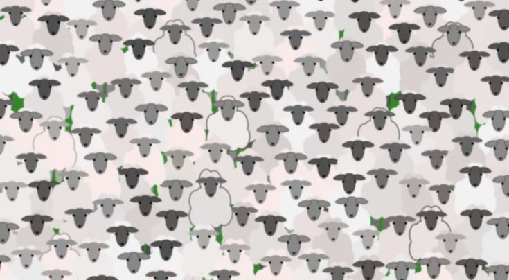 Οπτική ψευδαίσθηση