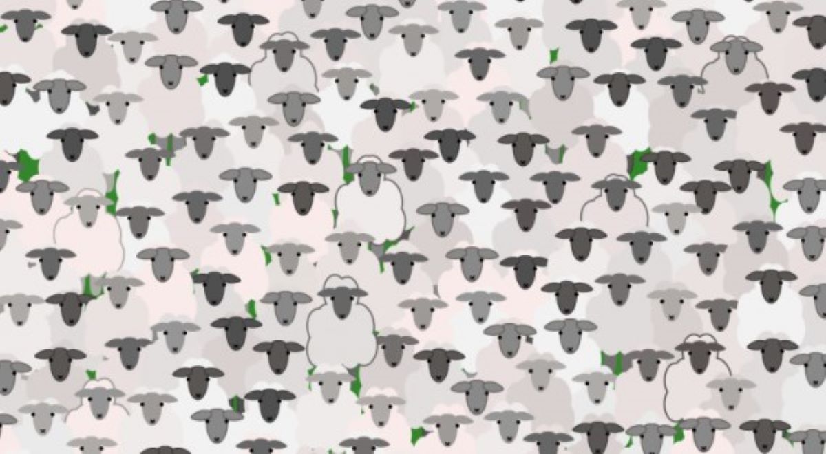 Οπτική ψευδαίσθηση