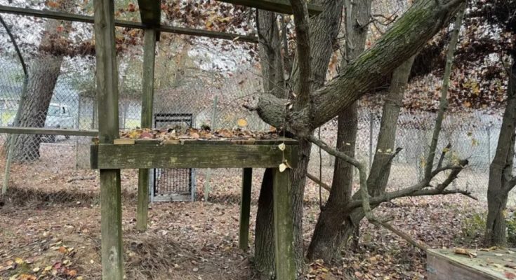 Οπτική ψευδαίσθηση