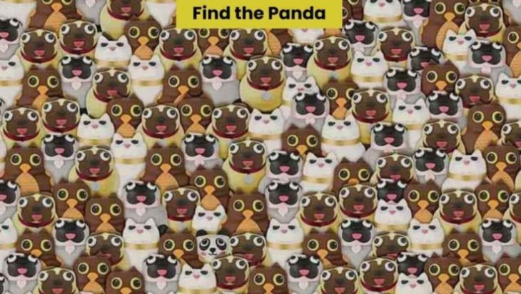 Οπτική ψευδαίσθηση