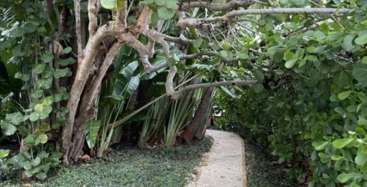 Οπτική ψευδαίσθηση