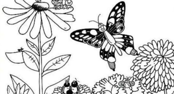 Οπτική ψευδαίσθηση