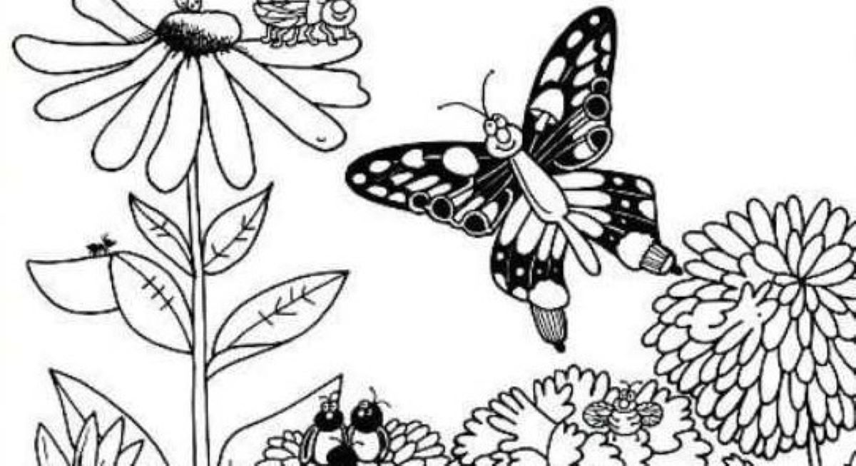 Οπτική ψευδαίσθηση