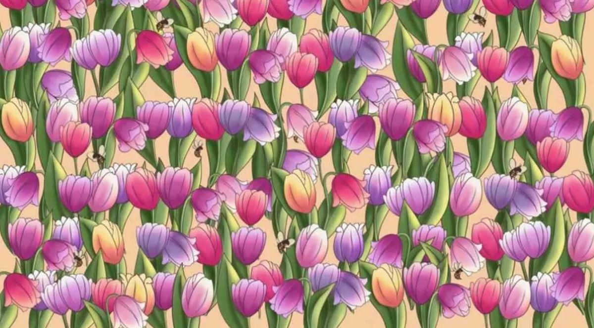 Οπτική ψευδαίσθηση