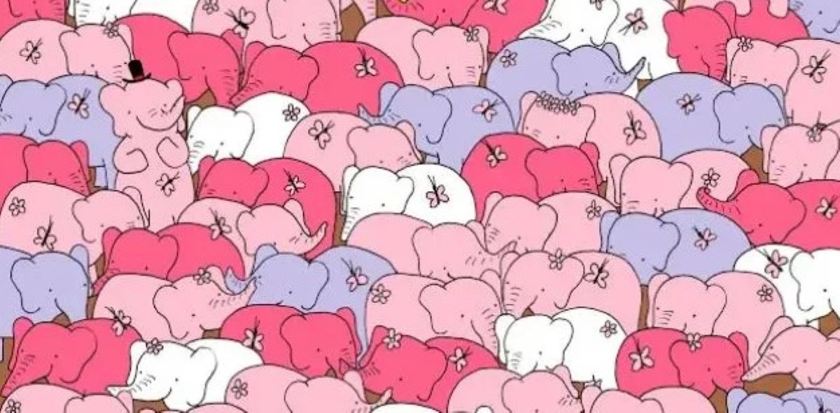 Οπτική ψευδαίσθηση