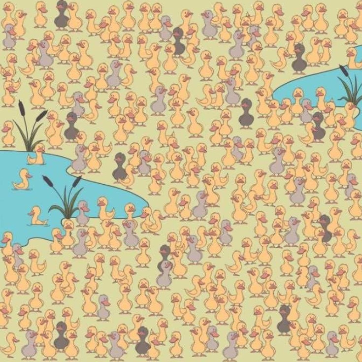 Οπτική ψευδαίσθηση