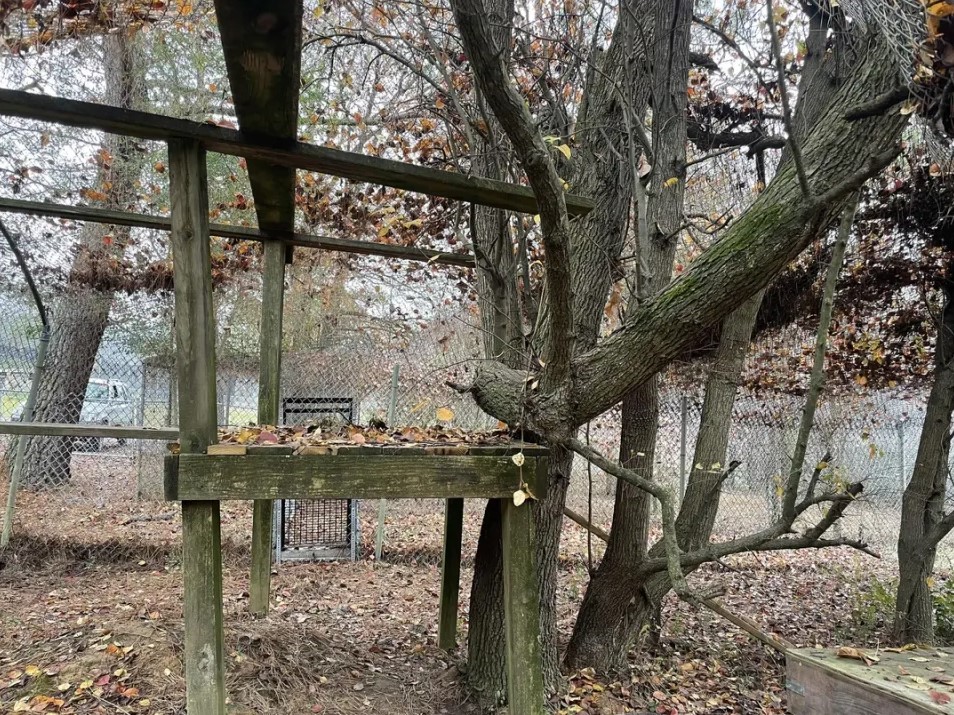 Οπτική ψευδαίσθηση