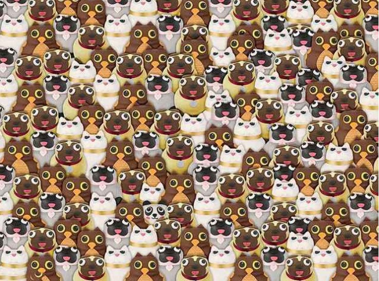 Οπτική ψευδαίσθηση