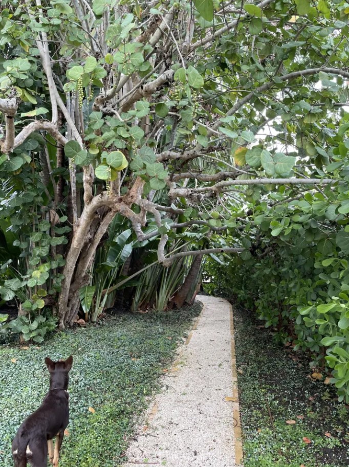 Οπτική ψευδαίσθηση