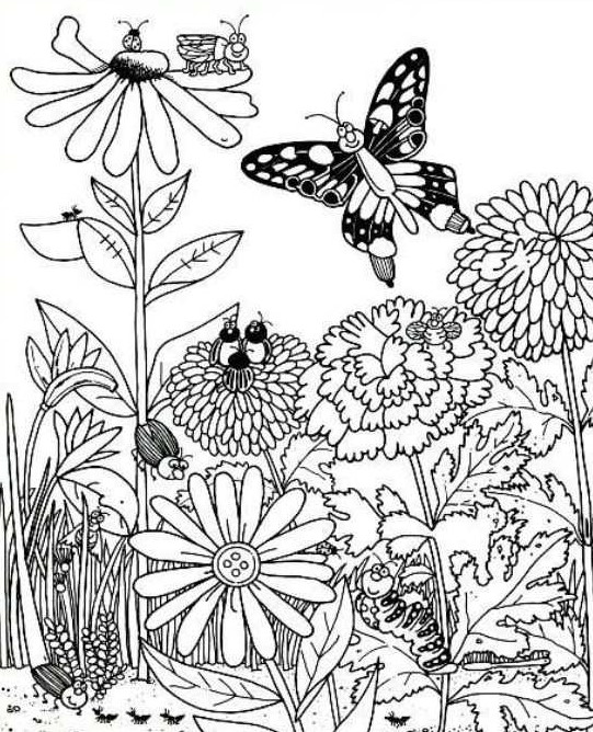 Οπτική ψευδαίσθηση