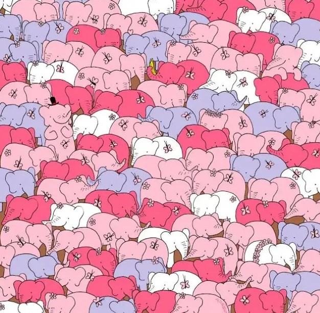 Οπτική ψευδαίσθηση