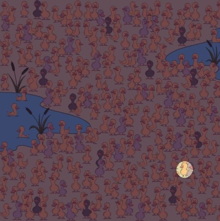 Οπτική ψευδαίσθηση