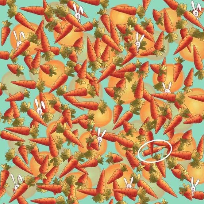 Οπτική ψευδαίσθηση