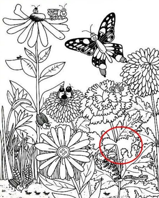 Οπτική ψευδαίσθηση