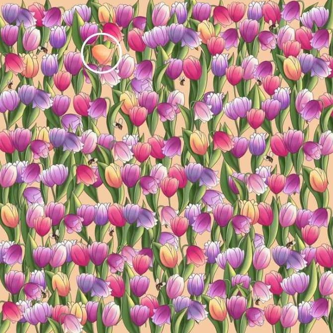 Οπτική ψευδαίσθηση