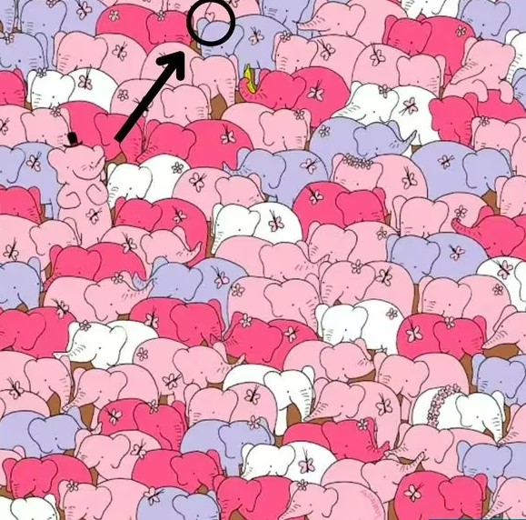 Οπτική ψευδαίσθηση