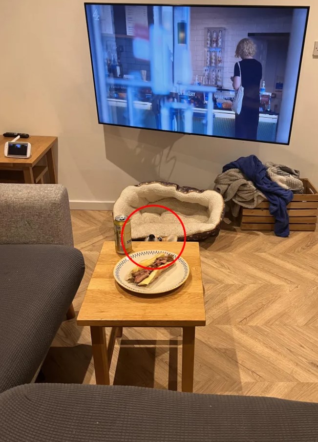 Οπτική ψευδαίσθηση