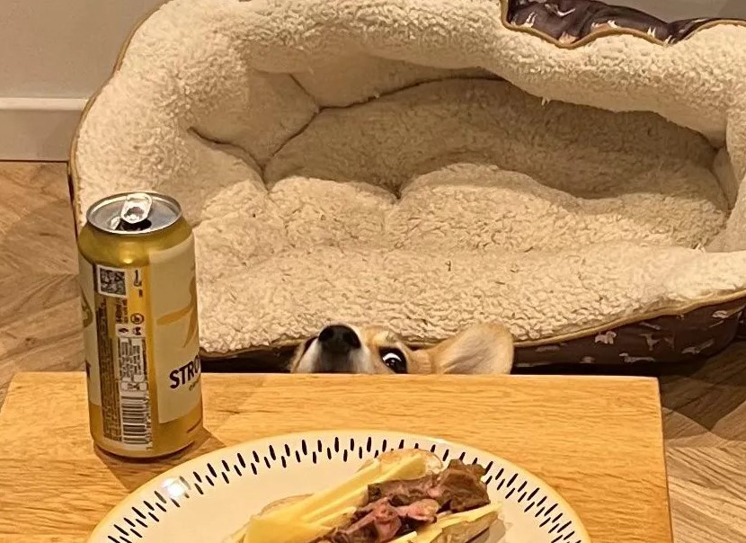 Οπτική ψευδαίσθηση