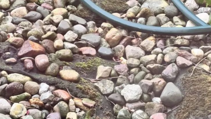 Οπτική ψευδαίσθηση