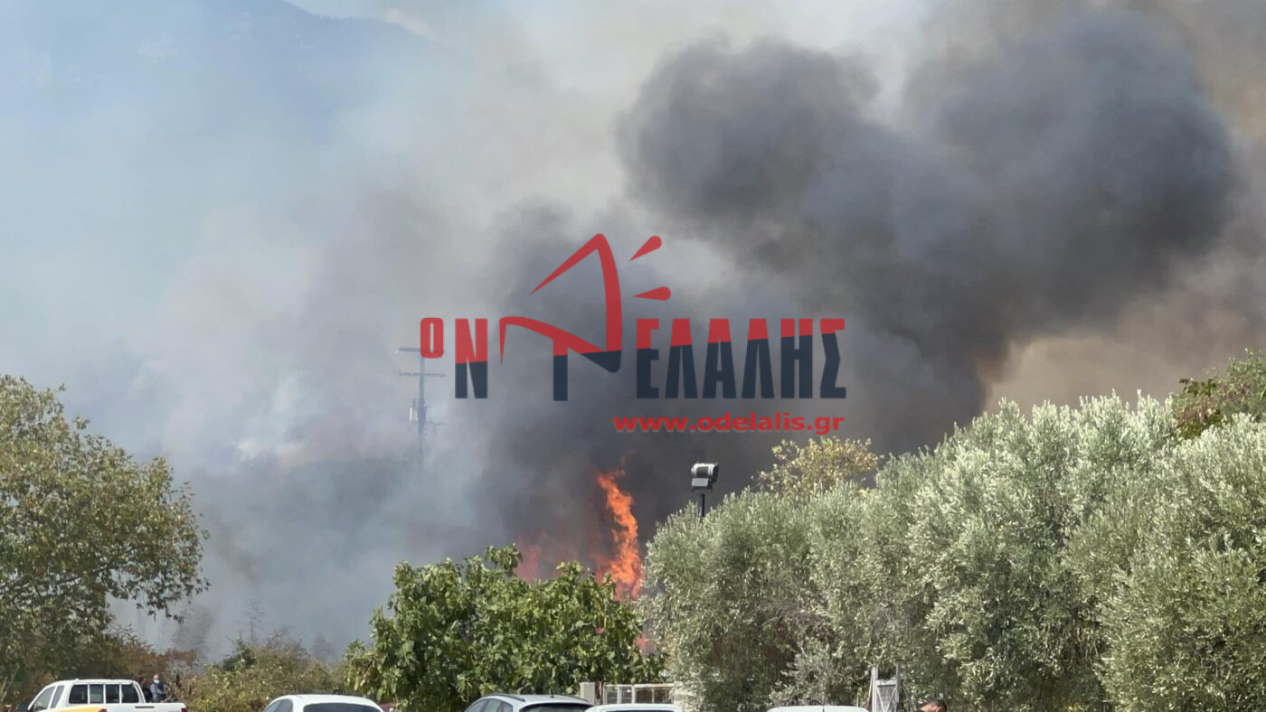 Φωτιά σε χαμηλή βλάστηση στην Πλάκα Λιτόχωρου Πιερίας – Εκκενώνεται η περιοχή – ΦΩΤΟ και ΒΙΝΤΕΟ