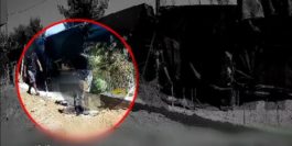 ΠΛΙΑΤΣΙΚΟ ΦΩΤΙΑ