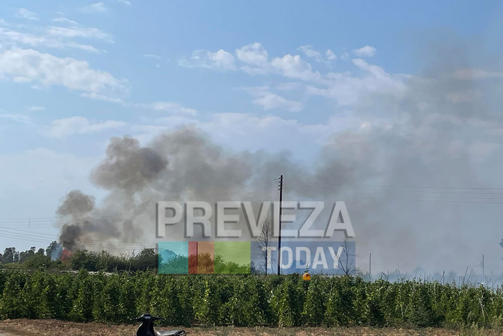 Χωρίς ενεργό μέτωπο η φωτιά στην Πρέβεζα – Οι φλόγες «έγλειψαν» μάντρες σπιτιών