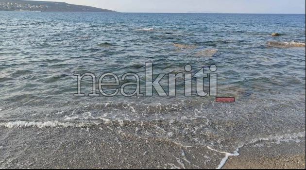 ΨΑΡΙΑ ΝΕΚΡΑ