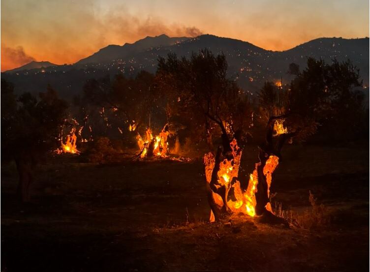 Νύχτα αγωνίας στο Ρέθυμνο: Μαίνεται ανεξέλεγκτη η φωτιά – Δασοκομάντος από την Αθήνα στο νησί