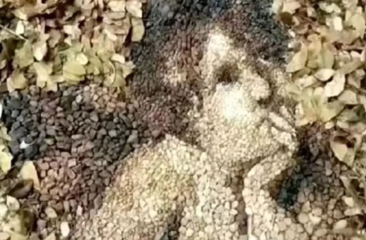 Τεστ προσωπικότητας: Αυτό που βλέπετε πρώτα δείχνει πώς αισθάνεστε