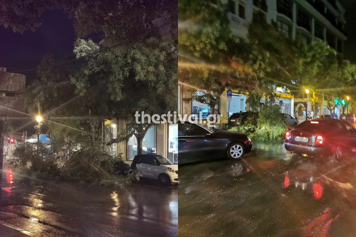 Θεσσαλονίκη: 15 κλήσεις στην Πυροσβεστική για πτώσεις δέντρων λόγω της κακοκαιρίας – ΦΩΤΟ και ΒΙΝΤΕΟ