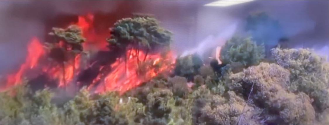 Πύρινη κόλαση στον Βαρνάβα: Αναφορές για καμένα σπίτια – Νέα μηνύματα από το 112 για εκκένωση, μεγάλη επιχείρηση της ΟΠΚΕ για τον απεγκλωβισμό πολιτών - 4 άνθρωποι στο νοσοκομείο (ΦΩΤΟ & ΒΙΝΤΕΟ)