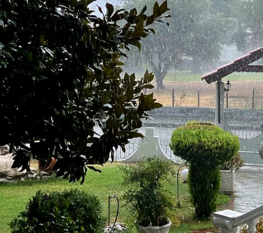 Κακοκαιρία: Έπεσε χαλάζι σε Τρίκαλα και Γρεβενά – ΒΙΝΤΕΟ