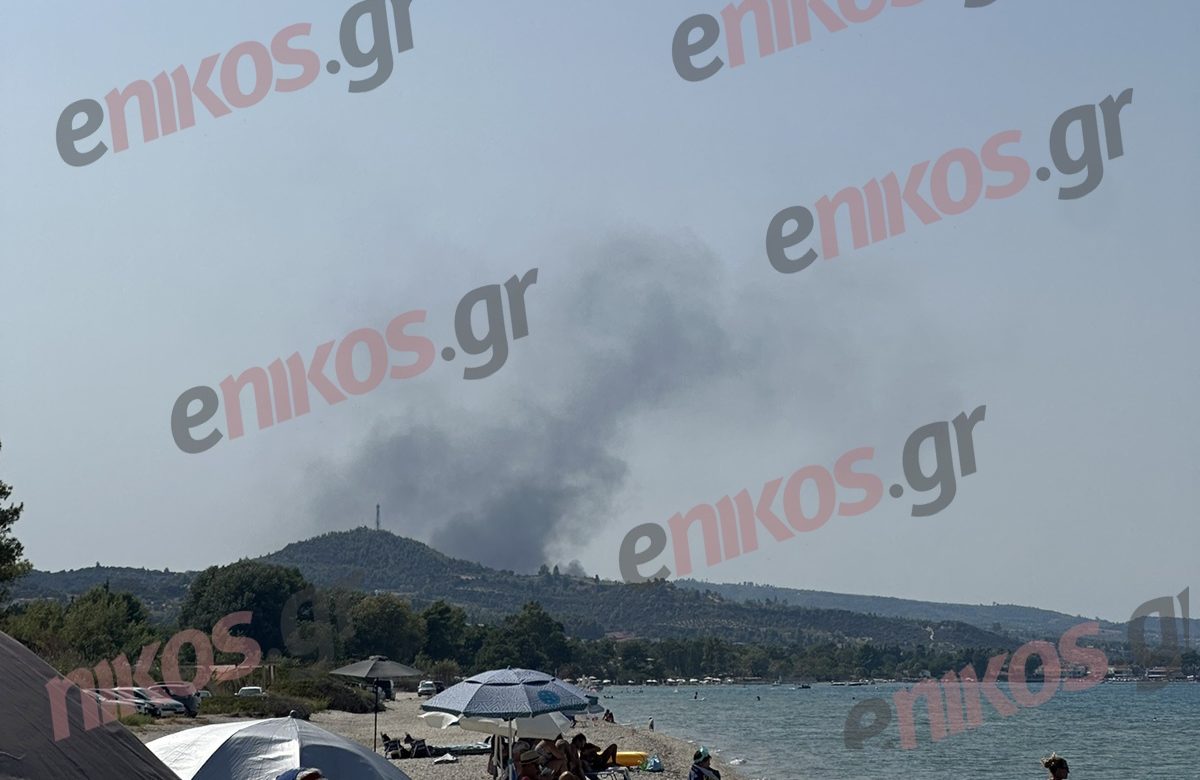 Φωτιά σε χωματερή στην Χανιώτη Χαλκιδικής  – ΦΩΤΟ αναγνώστη