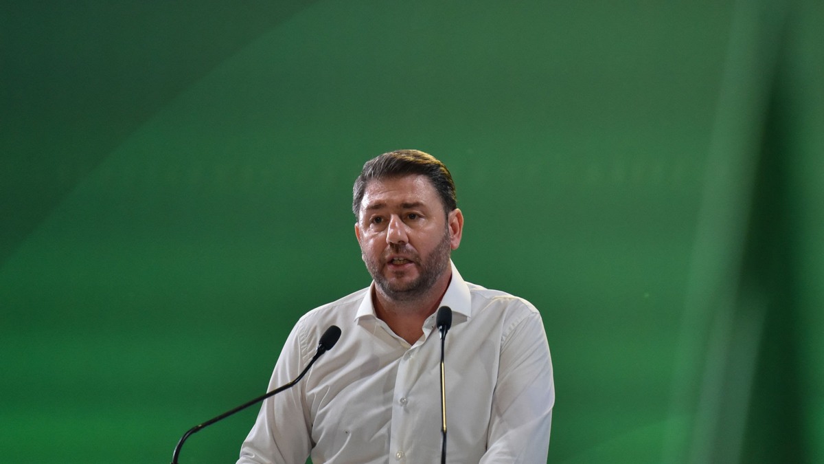 Νίκος Ανδρουλάκης: Αυτό που έγινε το βράδυ των εκλογών είναι άδικο για την παράταξη