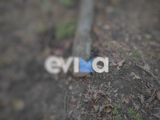 Δυστύχημα στην Εύβοια: 35χρονος καταπλακώθηκε από δέντρο