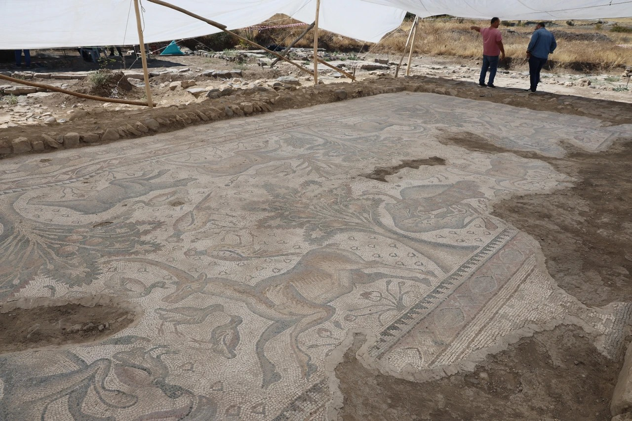 Εκτός από την έκτασή του, το μωσαϊκό διακρίνεται και για την ακρίβεια της καλλιτεχνικής του δημιουργίας. Φωτογραφία: ΙΗΑ