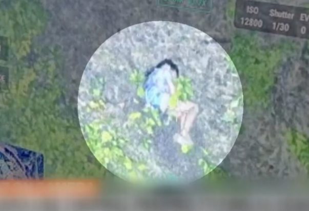 ΠΑΙΔΙ ΔΑΣΟΣ