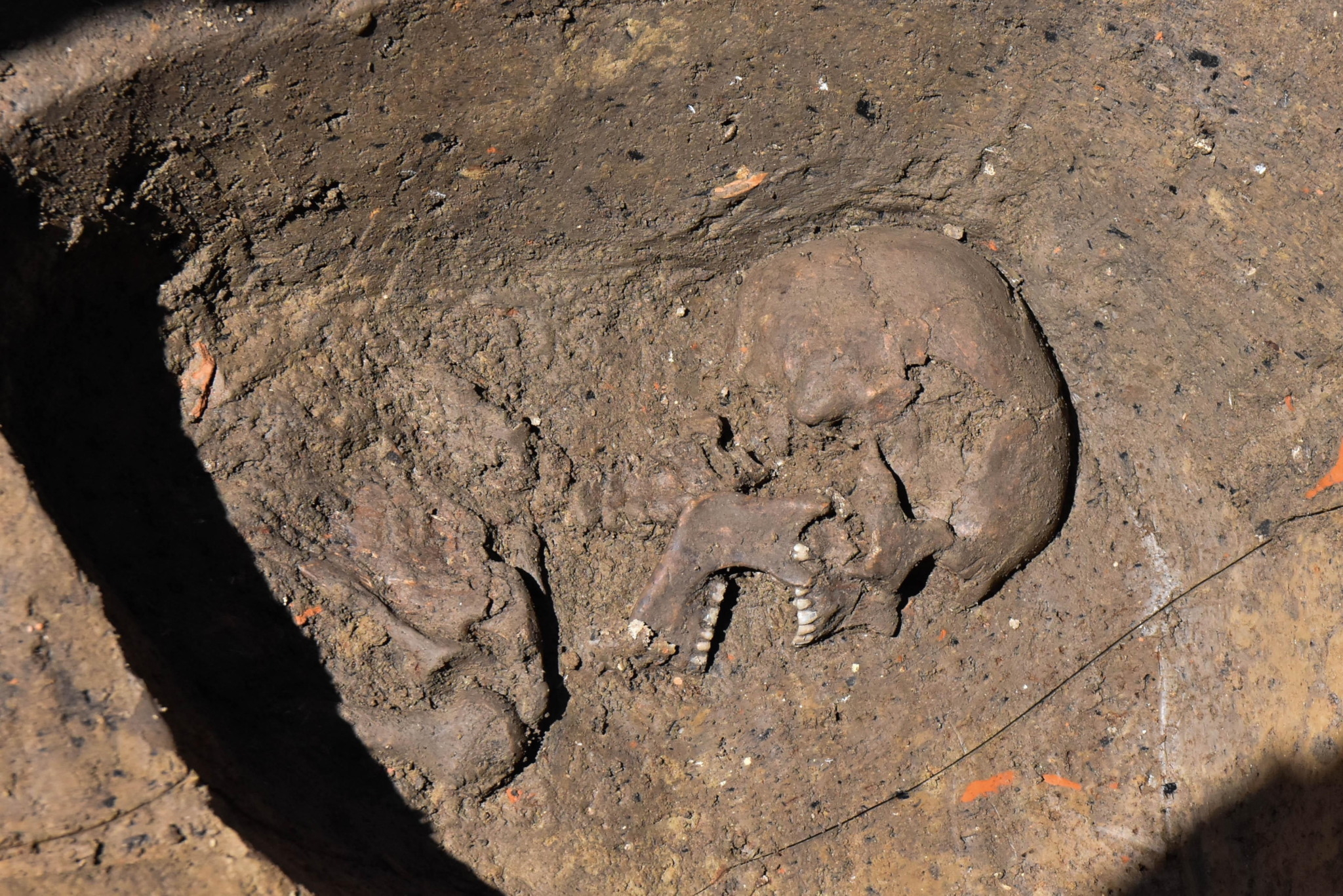 Βρέθηκε θαμμένος ένας σκελετός που χρονολογείται στον 1ο ή τον 2ο αιώνα μ.Χ. στην Contra' Porta Nova. Φωτογραφία: COLORFOTO/TONIOLO