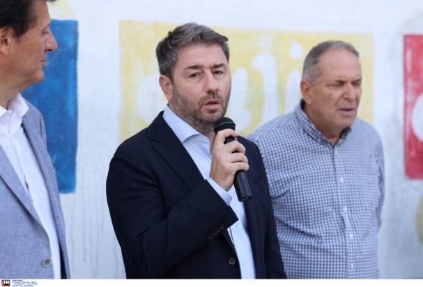 Νίκος Ανδρουλάκης