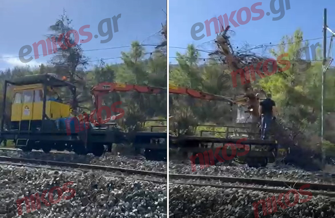 Hellenic Train: Ομαλοποιούνται σταδιακά τα δρομολόγια των τρένων – Βίντεο από την απομάκρυνση των πεσμένων δέντρων