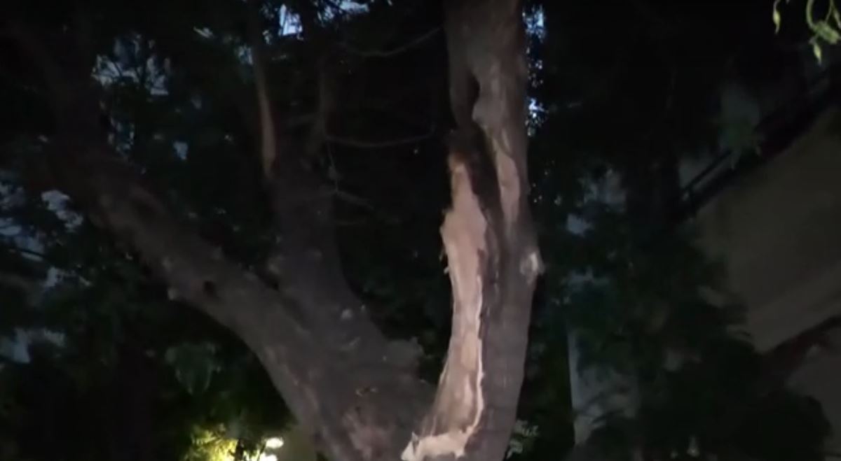 Θεσσαλονίκη: 200 κλήσεις στην Πυροσβεστική λόγω της κακοκαιρίας – 44 κοπές δέντρων