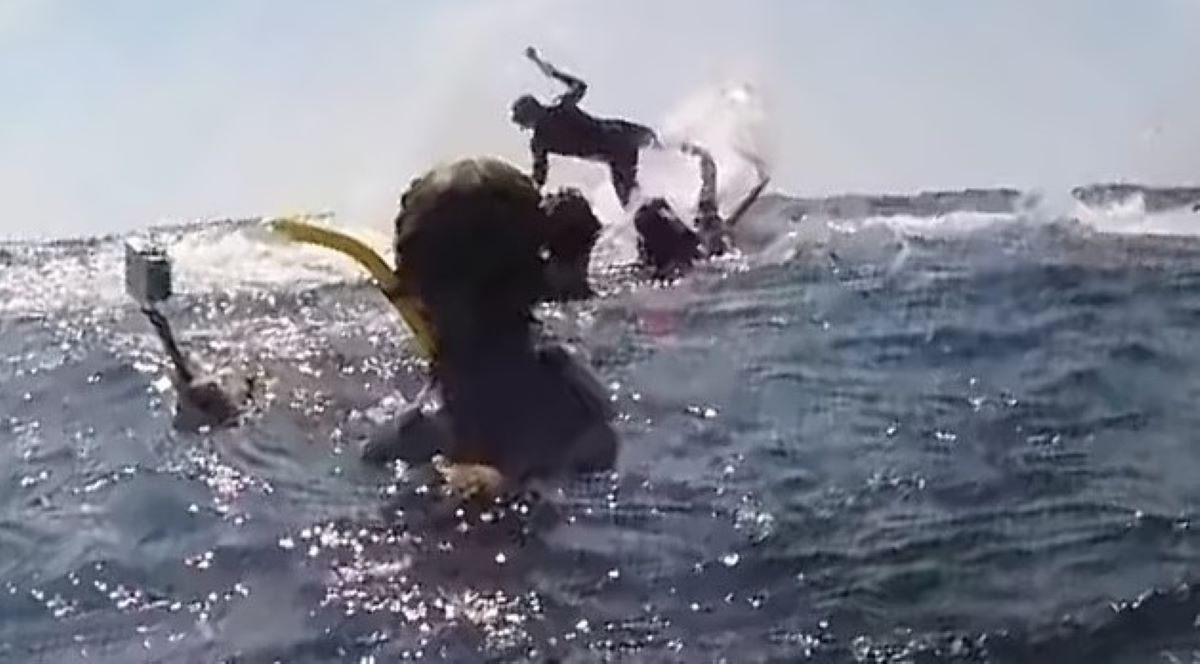 Η τρομακτική στιγμή με φάλαινα να πετάει στον αέρα κολυμβητή – ΒΙΝΤΕΟ