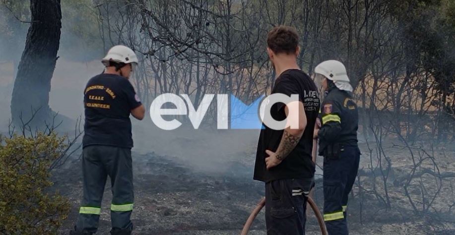Εύβοια: Υπό έλεγχο η φωτιά στην Ερέτρια – Ζημιές σε μία αποθήκη – ΦΩΤΟ και ΒΙΝΤΕΟ