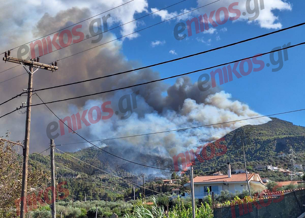Φωτιά Ξυλόκαστρο Ροζενά