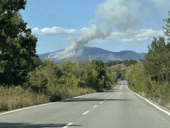 Κοζάνη φωτιά