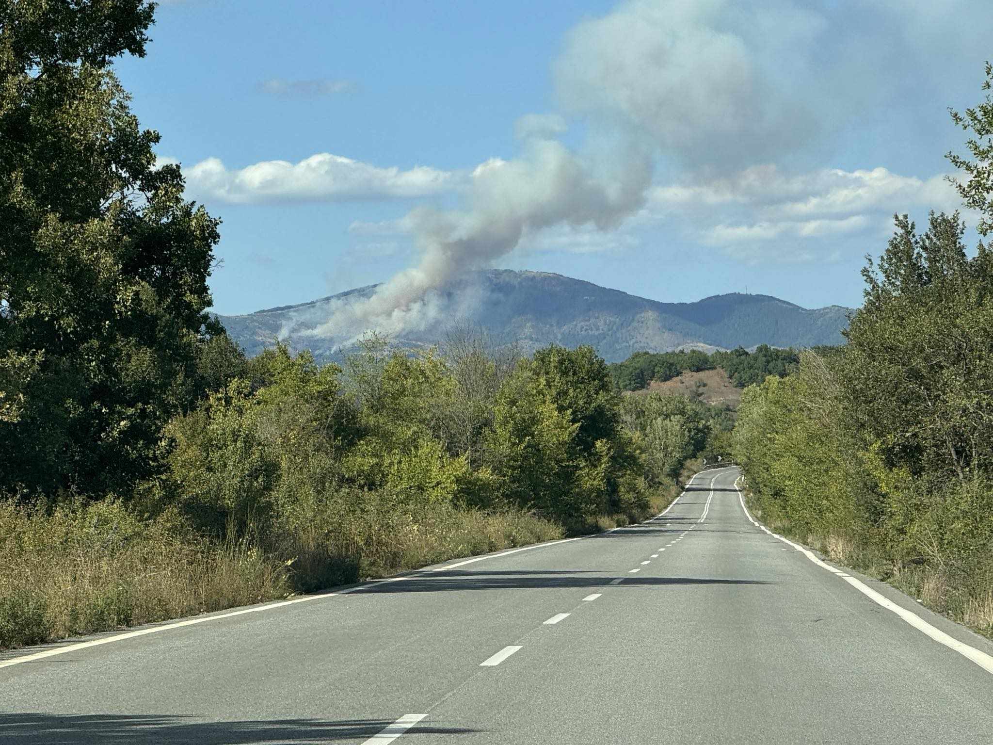 Κοζάνη φωτιά