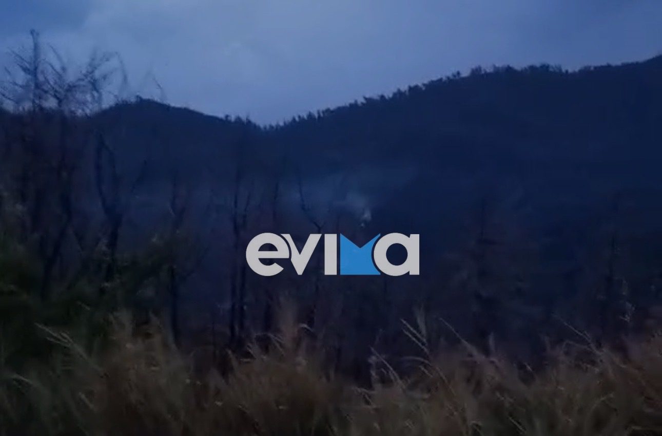 Βόρεια Εύβοια: Τέσσερις φωτιές από κεραυνό – ΒΙΝΤΕΟ