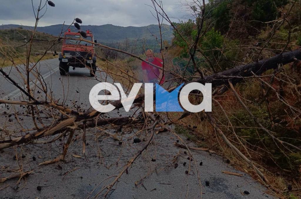 Κακοκαιρία «ΑΤΕΝΑ»: Προβλήματα στην Εύβοια από τις ισχυρές καταιγίδες – Έπεσαν δέντρα – ΒΙΝΤΕΟ