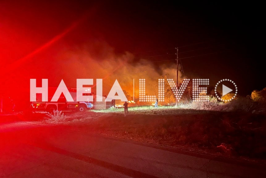 Φωτιά Καβούρι Ηλείας